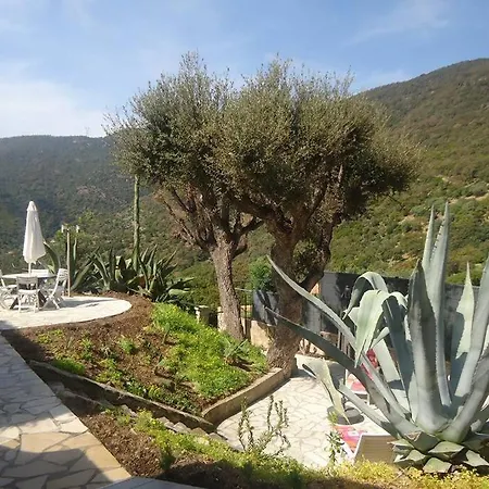 3 Avec Vue Mer Villa Cavalaire-sur-Mer